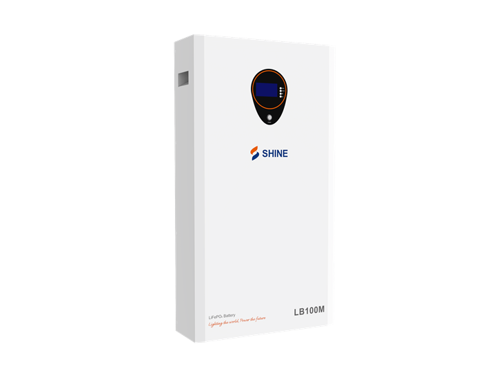 LB100M Wall Mounted Lithium Battery 51.2V 200AH