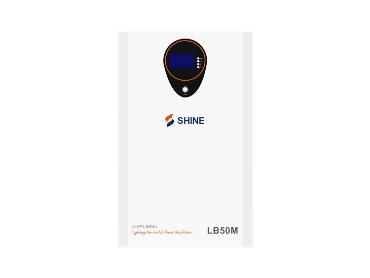 LB50MH Wall Mounted Lithium Battery 51.2V 100AH